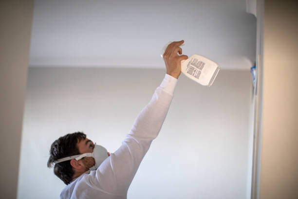 Best Residential Mold Removal  in Belzoni, MS