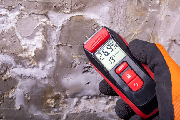 Best Mold Cleaning Services  in Belzoni, MS